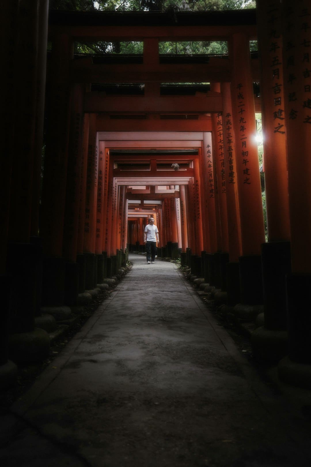 那英去《花少》带了更年期的药 全新阵型引等待